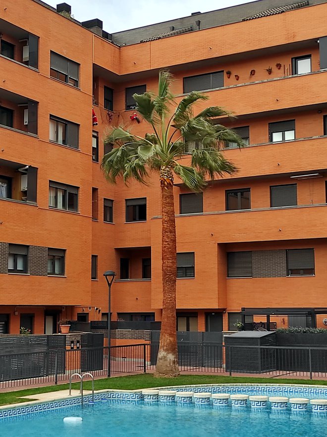 Comunidad de vecinos con piscina y gran palmera.