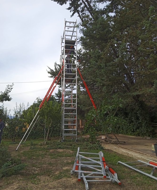 Trabajo con vegetación en altura. Estructura metálica.