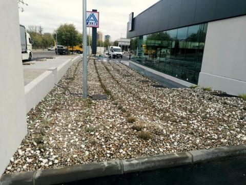 Proyecto integral de paisajismo en los jardines exteriores de hipermercado ALDI. 