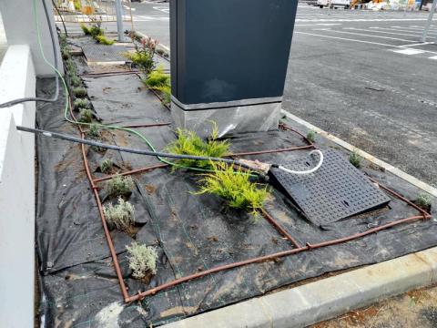 Obra en jardín exterior en supermercado ALDI. Fase avanzada de los trabajos realizados por Paisajismo La Rioja.