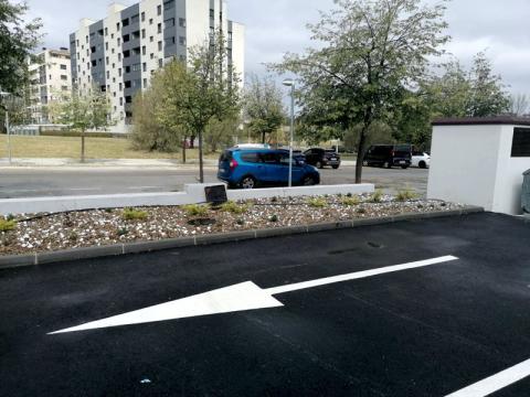 Jardin en aparcamiento de supermercado ALDI.