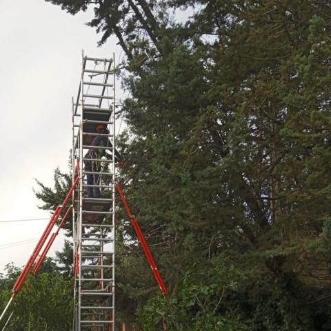 Trabajo con vegetación en altura. Estructura metálica.